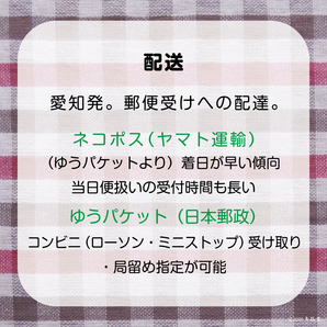 [91日間135GB使い切り] データ通信専用プリペイドSIM [DOCOMO回線MVMO] （規定容量使用後は通信停止） #冬狐堂の画像7