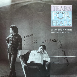 【試聴 7inch】Tears For Fears / Everybody Wants To Rule The World 7インチ 45 Nas Mayer Hawthorne 土岐麻子