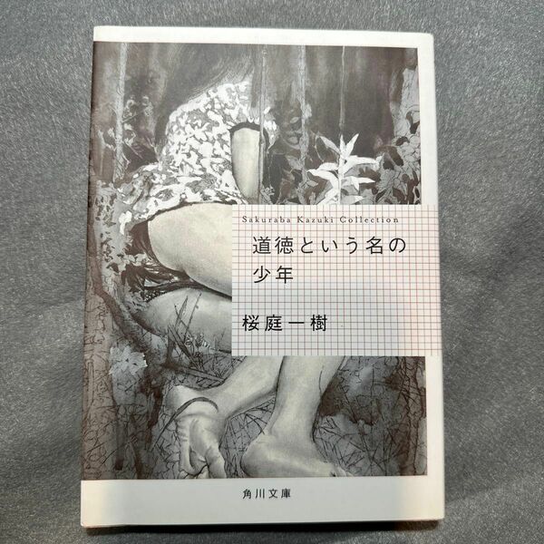 道徳という名の少年 （角川文庫　さ４８－５） 桜庭一樹／〔著〕