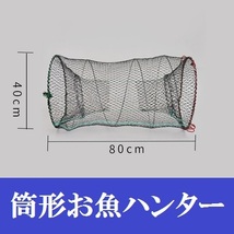 魚捕り エビ捕り 筒形 魚ハンター 40×80cm 筒形 コンパクト 折り畳み 捕獲アミ 網 小魚 魚取り もんどり川遊び ガサガサ_画像1