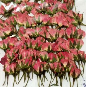  для бизнеса засушенный цветок роза. . розовый большая вместимость 500 листов сухой цветок декоративный элемент resin . печать 