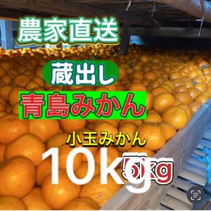 蔵出し完熟！サイズ混合 青島みかん10kg農家直送新鮮