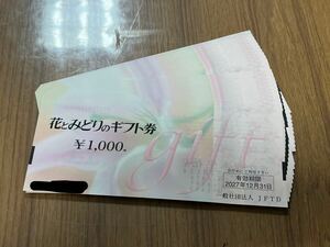 花とみどりのギフト券 20,000円分