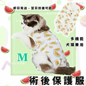 新入荷 猫犬 術後服 ウェア 離乳 避妊　手術 雄雌 エレザべスカラースイカ柄M