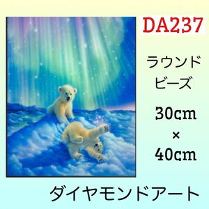 DA237ダイヤモンドアートキットオーロラとシロクマ