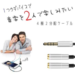 オーディオ分配ケーブル 3.5mm ジャック ステレオ オス - メス ×2 シルバー 35cm 4極 2分配ケーブル 変換ケーブル アダプタ イヤホン