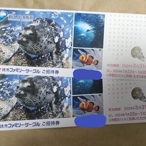 新江ノ島水族館　チケット