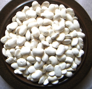 2023 year production Hokkaido. genuine | white flower legume 800g