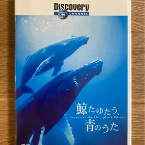 ディスカバリー・チャンネル 鯨たゆたう,青のうた DVD