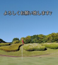 ゴルフティー150本ロングティー83mm赤　竹　竹製　バンブーティー　ウッドティー　新品未使用　golf Tee お徳　ゴルフ用品_画像5