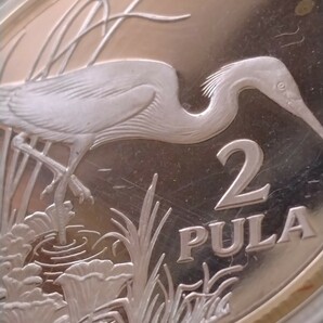 ボツワナ 1986 2プラ銀貨プルーフ 25th World Wildlife Fund-Slaty Egretの画像4