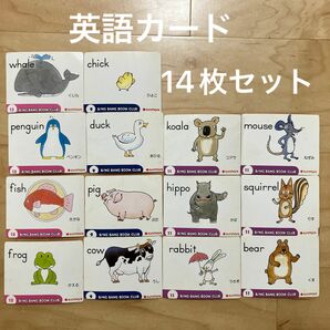 英語カード　14枚セット サンマーク出版