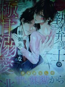 ３月新刊エタニティブックス・赤◆執着弁護士の制御不能な極甘溺愛◆