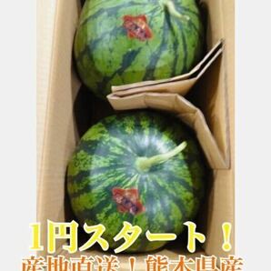 送料無料☆1円スタート☆熊本県産植木スイカ 1ケース 2玉入り 産地直送の画像1