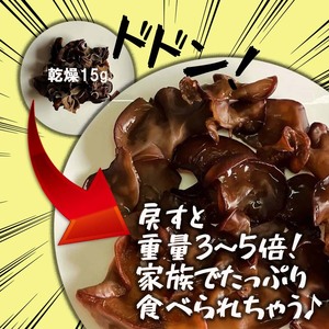 きくらげ 乾燥 75g 送料無料 キクラゲ 15ｇ×5袋 レシピ 栄養 スープ 下処理 注意 佃煮 中華 簡単 効果 効能 乾きくらげ 干し