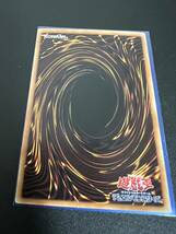 遊戯王 真紅眼の黒竜 レッドアイズ・ブラックドラゴン ホロ DP18-JP000_画像8