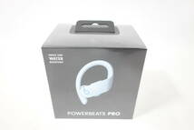 【新品】ビーツ Beats by Dr. Dre Powerbeats Pro イヤホン グレイシャーブルー MXY82PA/A (国内正規品)_画像1