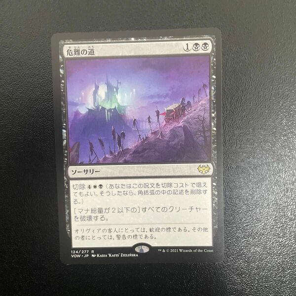 mtg マジックザギャザリング　危難の道　日本語版1枚