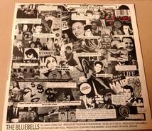 【ギターポップ 12inch】The Bluebells / All I Am (Is Loving You) LONX58 UK盤 Green Ink _画像2