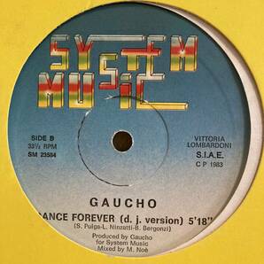 Gaucho - Dance Forever 12 INCHの画像2