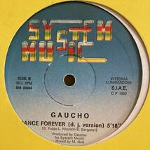 Gaucho - Dance Forever 12 INCH_画像2