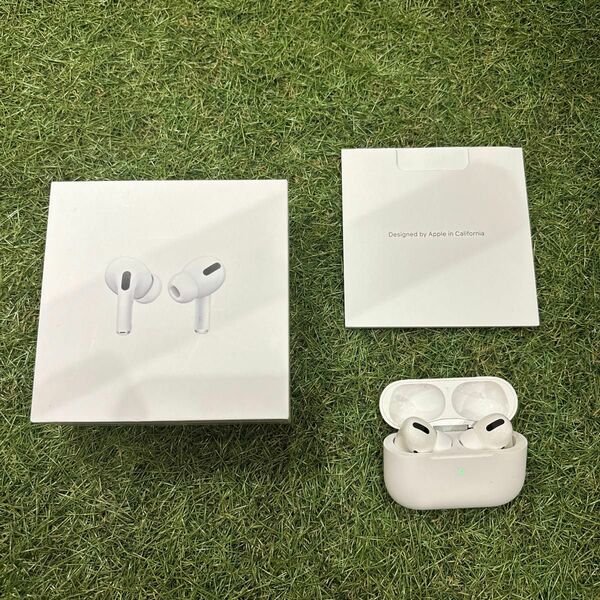 Apple AirPods Pro MWP22J/A white