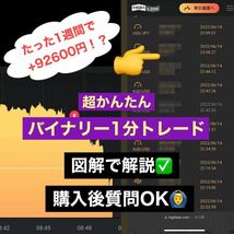 ※2024年※借金212万円あった僕が完済できた理由を教えます。3つのインジを使った爆益エントリーポイント /FX,バイナリーオプション,副業_画像1