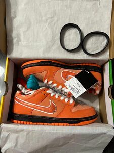 Concepts × Nike SB Dunk Low SP "Orange Lobster" 26