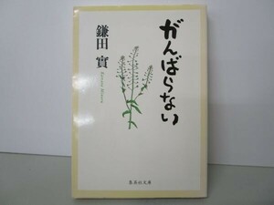 がんばらない (集英社文庫) t0603-dd1-ba