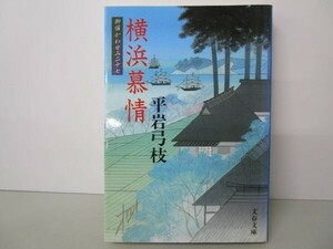 御宿かわせみ (27) 横浜慕情 (文春文庫) (文春文庫 ひ 1-78 御宿かわせみ 27) t0603-dd2-ba