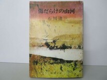 傷だらけの山河 t0603-de1-nn_画像1