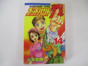 ゴッドハンド輝 (14) t0603-de3-ba