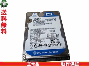 2.5インチHDD SATA 250GB WD2500BPVT 送料無料 正常品 [88494]