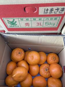 979.佐賀県産 高級ブランド柑橘 みかん　せとか　秀品「はまさき」箱込み約2kg