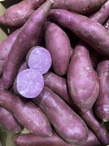 829.. bargain ... Chiba prefecture Ibaraki prefecture production sweet potato, purple corm box included 5kg