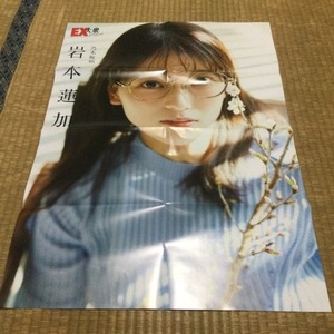【ポスター】乃木坂46・岩本蓮加　１枚　EX大衆　2024年4月号　送料180円