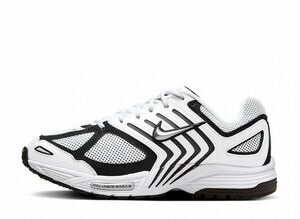 Nike Air Pegasus 2K5 &quot;White and Black&quot; 27cm FJ1909-100