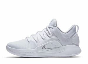 Nike Hyperdunk X Low "White/Pure Platinum" 28cm AR0465-100