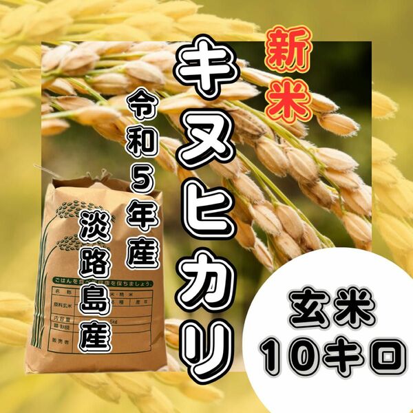 【新米　令和5年産】淡路島産　キヌヒカリ　玄米10キロ　低農薬　産地直送　セール　お得