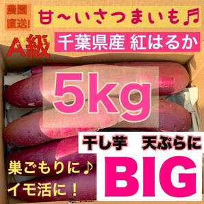 セール　3末まで　Bigサイズ 【熟成】さつまいも 紅はるか 5kg 土付き (配送料こみ）