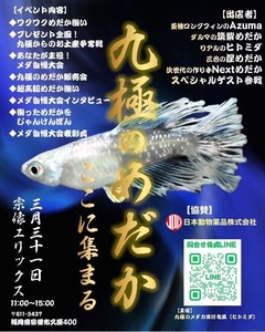 【3月31日イベント限定前売り券】Azumaめだか出店イベント優先券〜九極のめだかここに集まる〜