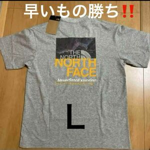 新品未使用タグ付きノースフェイスバックフォトグラフィックロゴTシャツ早い者勝ちです。