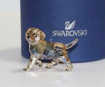 新品 本物 スワロフスキー 犬 置物 1142824 クリスタル SWAROVSKI 動物 6001_画像1