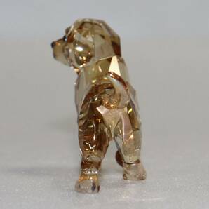 新品 本物 スワロフスキー 犬 置物 1142824 クリスタル SWAROVSKI 動物 6001の画像3