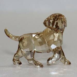 新品 本物 スワロフスキー 犬 置物 1142824 クリスタル SWAROVSKI 動物 6001の画像4