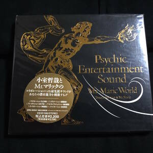 ★プラケース未開封★小室哲哉 Mr.マリック Paychic Entertainment Sound