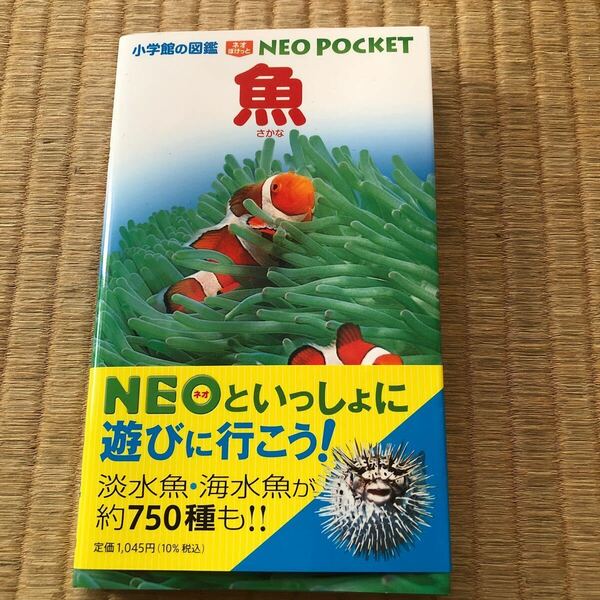 小学館の図鑑　NEO POCKET 魚