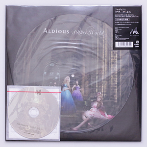 美盤(キズなし)　ALDIOUS アルディアス / Other World　2014　ピクチャー盤 CD付属　アナログLP 12inch