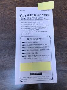 串カツ田中　株主優待　4000円分