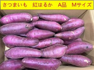 さつまいも 紅はるか 5KG Mサイズ A品 焼き芋に 美味しい 千葉茨城産